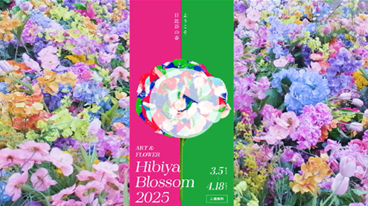 Hibiya Blossom 2025